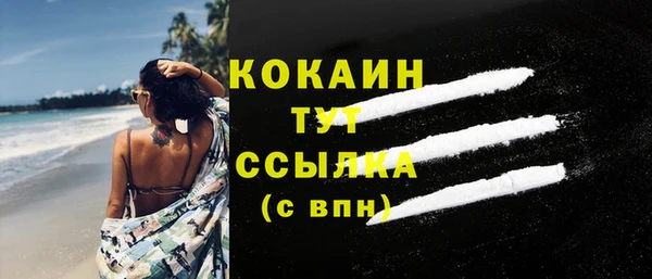 стаф Арсеньев