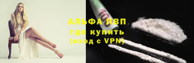 стаф Арсеньев
