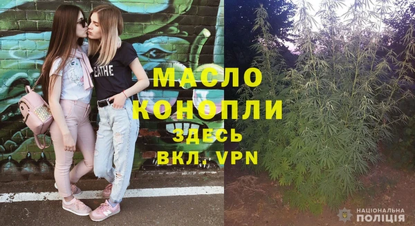 стаф Арсеньев
