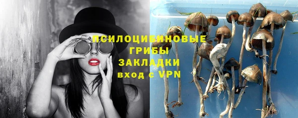 стаф Арсеньев