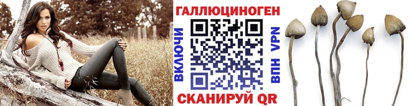 Галлюциногенные грибы Psilocybe  blacksprut ссылка  Теберда 