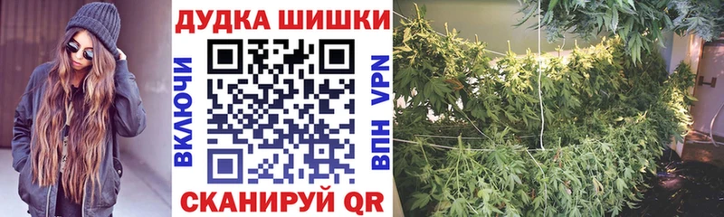 Канабис Amnesia  Теберда 